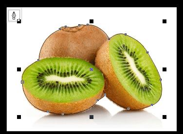 cdr用鋼筆工具怎么摳圖？cdr的鋼筆工具摳圖的操作方法