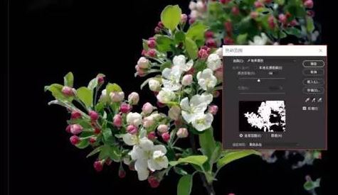 ps色彩范圍怎么用？教你PS使用色彩范圍來摳圖的方法