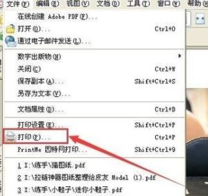 PDF格式怎么打??？pdf文件快速打印的操作方法