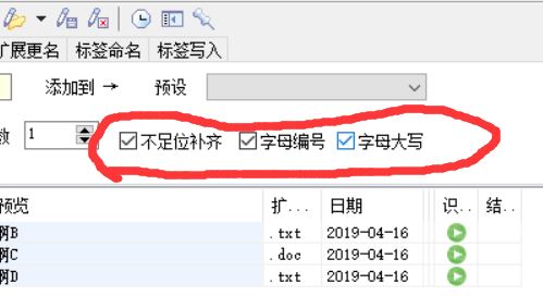 拖把更名器破解版_拖把更名器(不足1M的文件改名神器)v1.98i 綠色漢化版