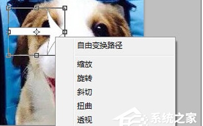 ps怎么旋轉(zhuǎn)圖片？Photoshop旋轉(zhuǎn)圖片教程