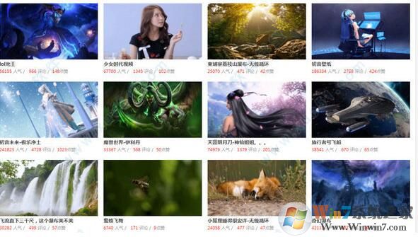 火螢視頻桌面怎么用？教你火螢動態(tài)壁紙設置方法