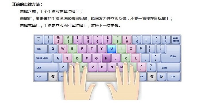 金山打字通2019電腦版 金山打字通2019最新版