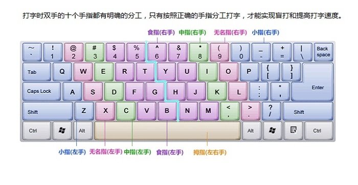 金山打字通2019電腦版 金山打字通2019最新版