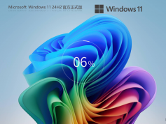 系統(tǒng)之家 Windows11 24H2 專業(yè)版鏡像 | Windows11免激活版下載