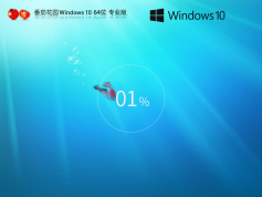 番茄花園Windows10定制版系統(tǒng)下載 | Windows10專業(yè)中文版64位