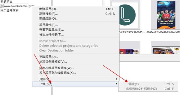 Extreme Picture Finder(網(wǎng)絡(luò)圖片批量下載工具)