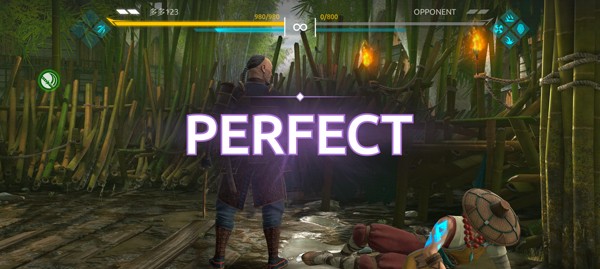 暗影格斗4破解中文版