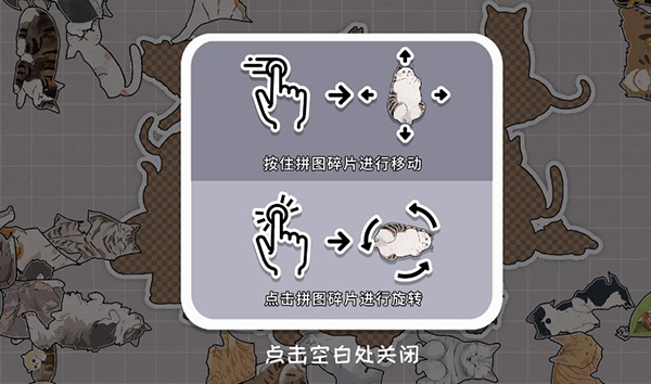 擠在一起的貓貓