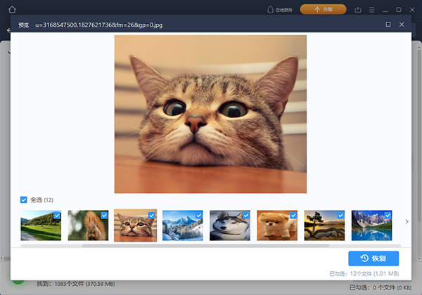 易我數(shù)據(jù)恢復