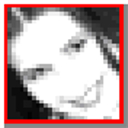 Selteco Bannershop GIF Animator