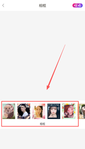 ProMovie專業(yè)攝像機(jī)