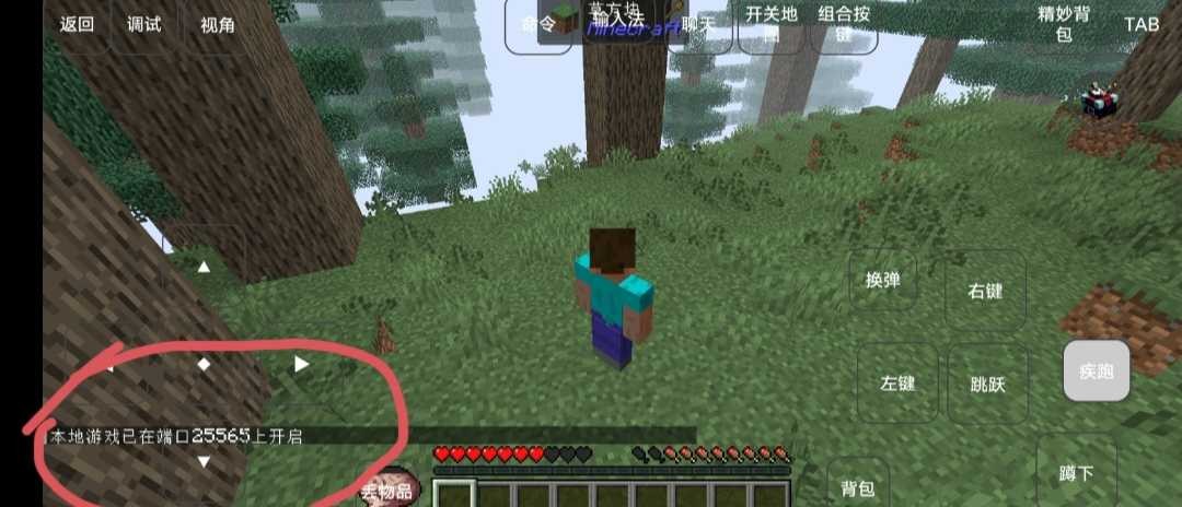 我的世界霧中人生存官方正版