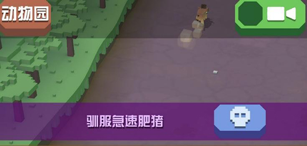 瘋狂動(dòng)物園最新版 