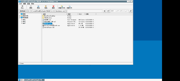 沒票下車手游安裝包