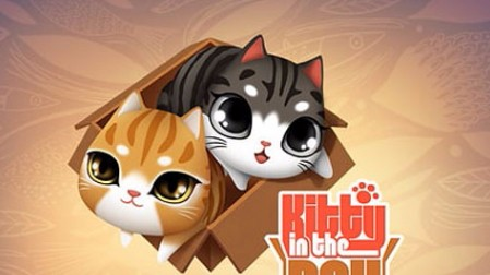 盒子里的貓(Kitty in the Box)中文版